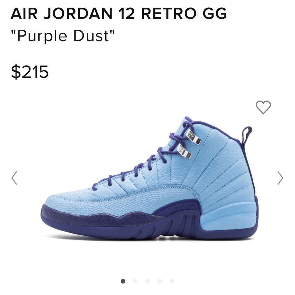 Air Jordan 12 Purple Dust “Hornets”